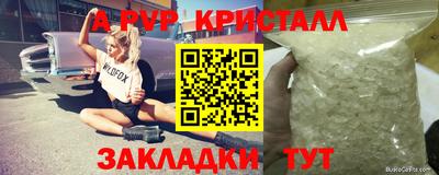 крисы Обь