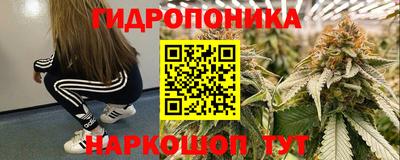 PSILOCYBIN Нягань