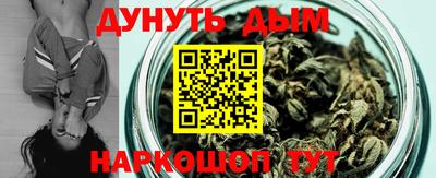 крисы Обь