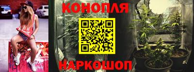 индика Обнинск