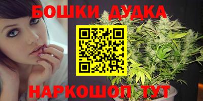 индика Обнинск