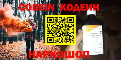 индика Обнинск