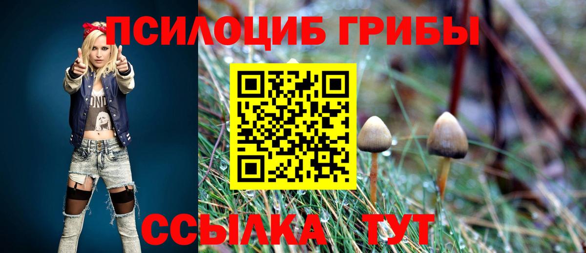 Симферополь  Галлюциногенные грибы прущие грибы  Вход с VPN 